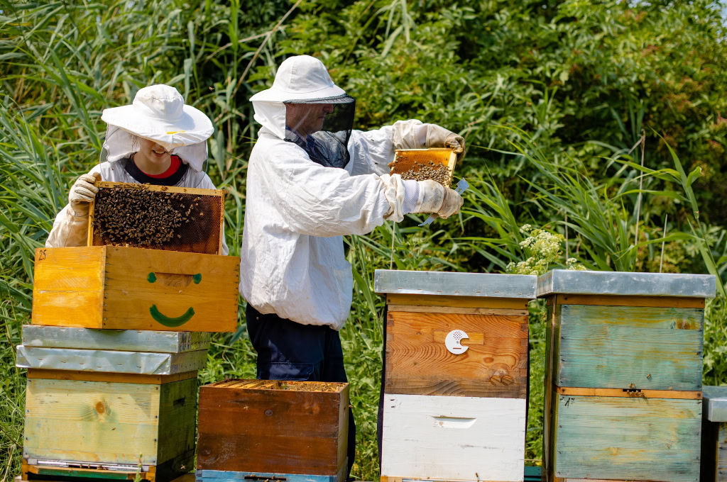 Apicoltura Fondazione Historie