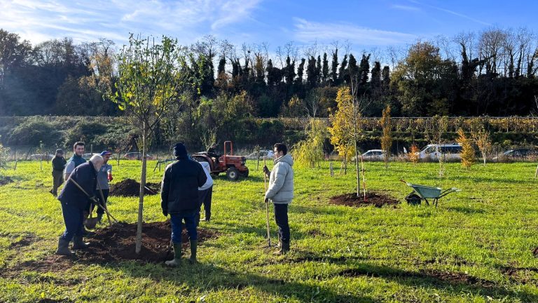 Apicoltura Fondazione Historie